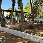 Vila Oasi