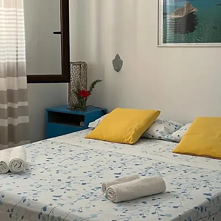 Oasi