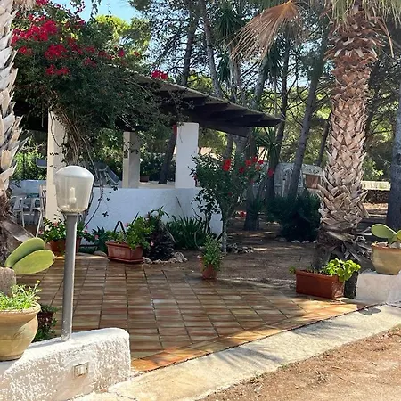Oasi Villa
