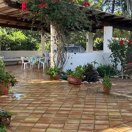 Oasi Villa *